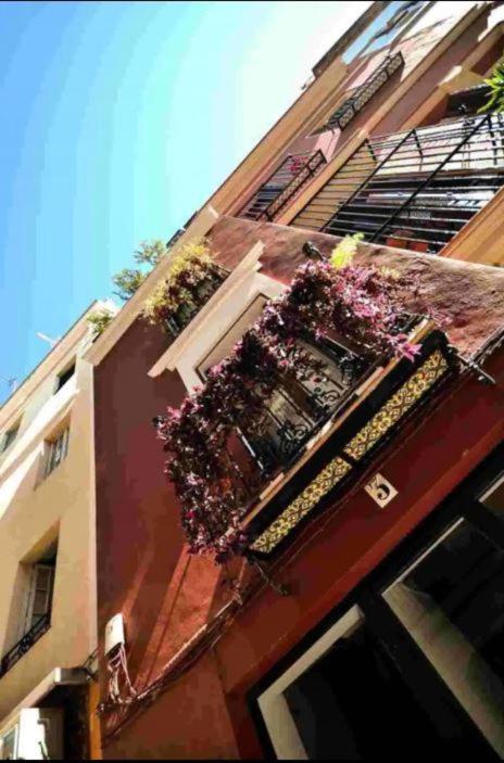 Typical Sevillan 2 Bedroom Unit Sevilla